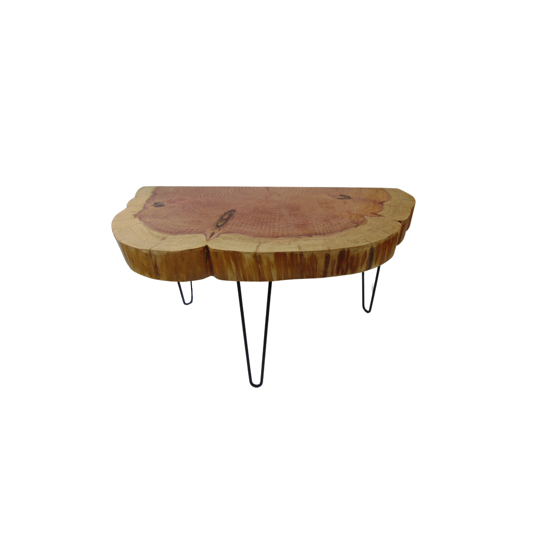 Rustic Tree Slice Table