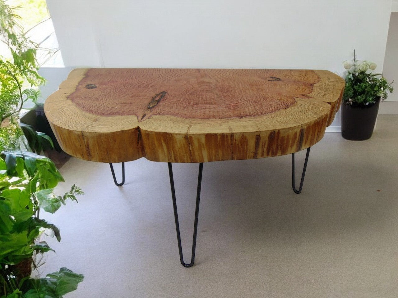 Rustic Tree Slice Table