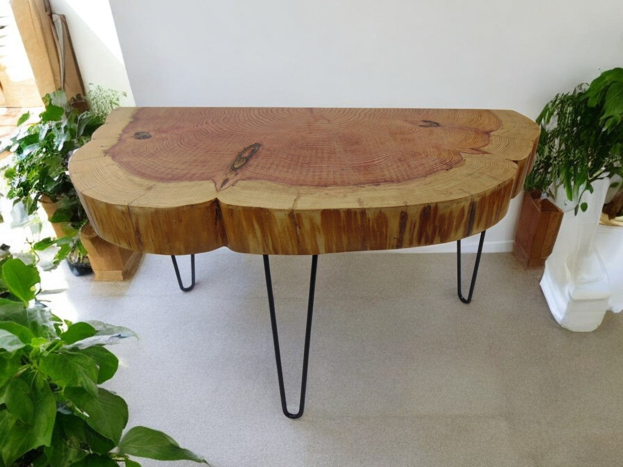 Rustic Tree Slice Table